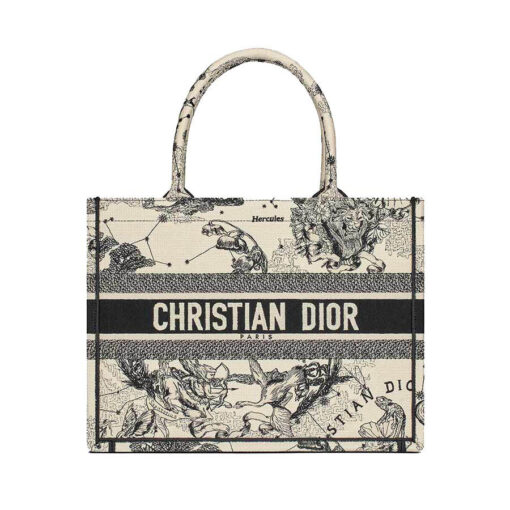 Dior Medium Book Tote Bag in Printed Design 1